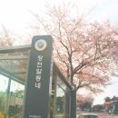 장전알동네 네이버블로그