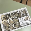 석화 티스토리