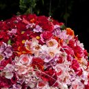 태정공업사 이미지