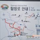 경주 트래킹 여행코스/ 경주 토함산 등산로/국립공원 토함산 숲 속 풍경/만파식적 설화 왕의 길 이미지