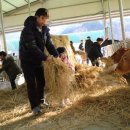 여물소농장 이미지