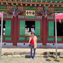 나라꽃 무궁화 명품길 | [강원도 홍천 당일치기 여행] 수타사 생태숲공원 완벽 가이드: 연꽃, 계곡, 무궁화 수목원까지