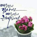 동화건강센타 네이버블로그
