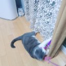 요미야 놀자 이미지