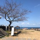 빈티지카페안 이미지