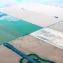 기타조형물 1 이미지