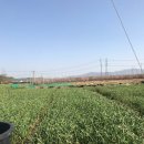 동화농약사 이미지