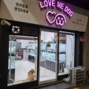 러브미독 이미지