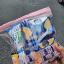 세하포토