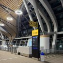 TG엔터테인먼트 | [탑승후기] TG0657 &amp; TG0325 탑승후기 및 인도 입국시 주의사항