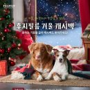 16 이미지
