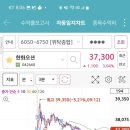 오션트리 이미지