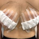 (주)팻라인 이미지