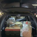 통큰어촌후계자 | 캠린이 일기 ) 벚꽃캠핑 성공🌸 (전남 벚꽃캠핑장, 강진 하저어촌체험마을)