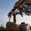 하루농장 이미지