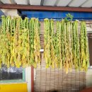 감악산낚시터 이미지