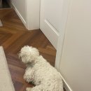 제주늘보의오후 | [혼자,제주] 첫번째 이야기