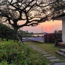 제주살가 이미지