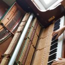 월산마을6단지 부영아파트(장유1차) 이미지