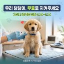 지축오투동물의료센터 | 2026 고양시 광견병 무료 예방접종 총정리 — 40개 동물병원, 접종 대상, 기간까지