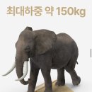 휴필라 | [건강공화국 레그필라 내돈내산후기]