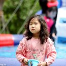 강원도힐링캠핑장 이미지