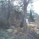 송전1리 이미지