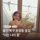너는나의꽃 | 울산 독보적 꽃집 너는나의꽃 ”꾸깃다발“ 남(편)돈내산 후기♥️