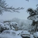 모둘자리 이미지