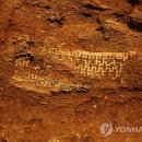 화성신발 이미지
