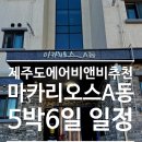 마카리오스 | 제주도에어비앤비추천 마카리오스A동 5박6일 일정 솔직이용후기
