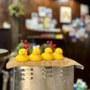 카페 키즈나 이미지