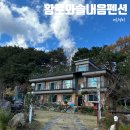 솔내음펜션 | 강릉 온돌숙소 가족여행 황토와솔내음펜션, 부모님과 가기 좋아요!
