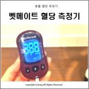 벳메이트 이미지