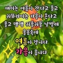 ♡ 날마다 좋은 날'이란 귀합니다 ♡ 이미지