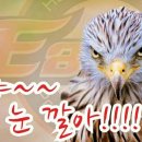 대빵 이미지