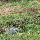 상비매봉길 이미지