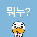 아니모네일 | 9:1 소개팅 후기, 앤팀팬싸인회다녀왔다는뜻