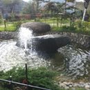 늘푸른정원 이미지