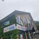 원주시청소년수련관 화장실 | 원주 아이랑 갈만한 곳, 피노키오숲 식사패키지 후기
