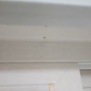 한들1로 이미지