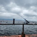 구산면716 이미지