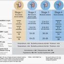 지음동물의료센터 이미지