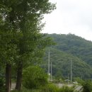 고요한아침 강가 이미지