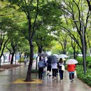 모두여행(무장애 여행) 이미지