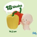 조은맘산부인과의원 네이버블로그
