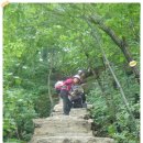 강인원 농장 이미지