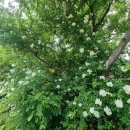 GS25금호벽산 네이버블로그