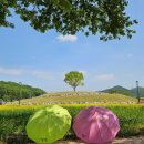 (주)향연