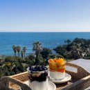 오늘의 바다 이미지